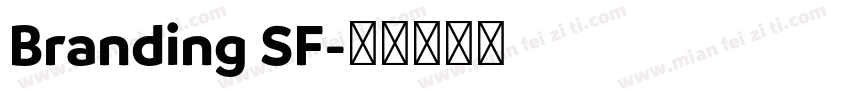 Branding SF字体转换
